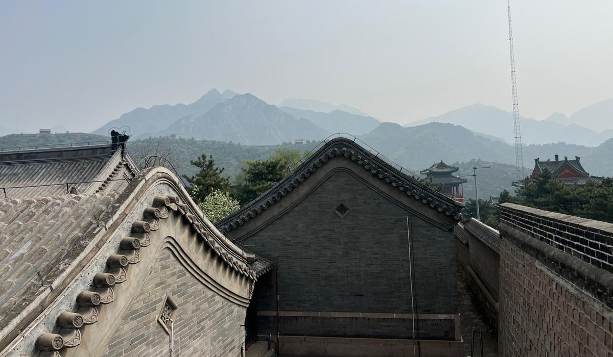 Эротикалық секс фильмі торрент